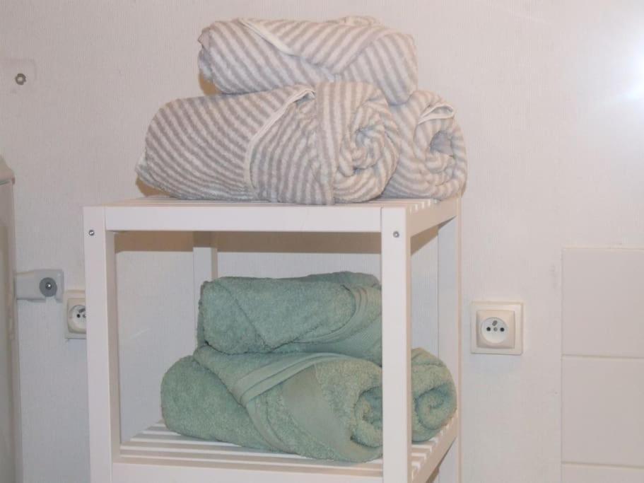 Cosy Hypercentre Appartement *